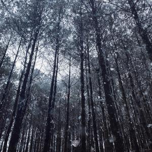 胖子男和胖熊Gay片
