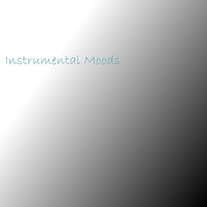 胖子男和胖熊Gay片
